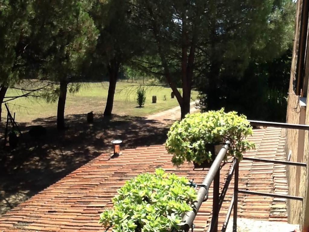 Campo Alle Monache Panzió Bucine Szoba fotó