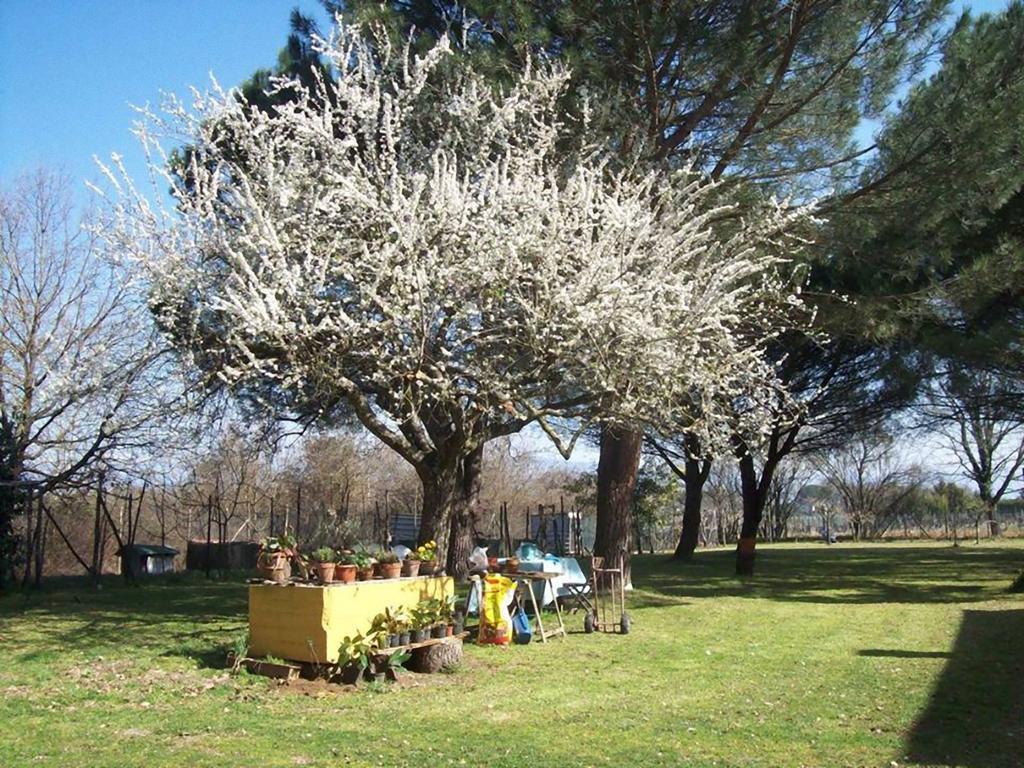 Campo Alle Monache Panzió Bucine Kültér fotó