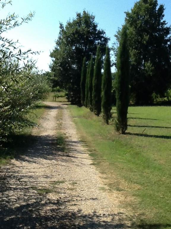 Campo Alle Monache Panzió Bucine Kültér fotó