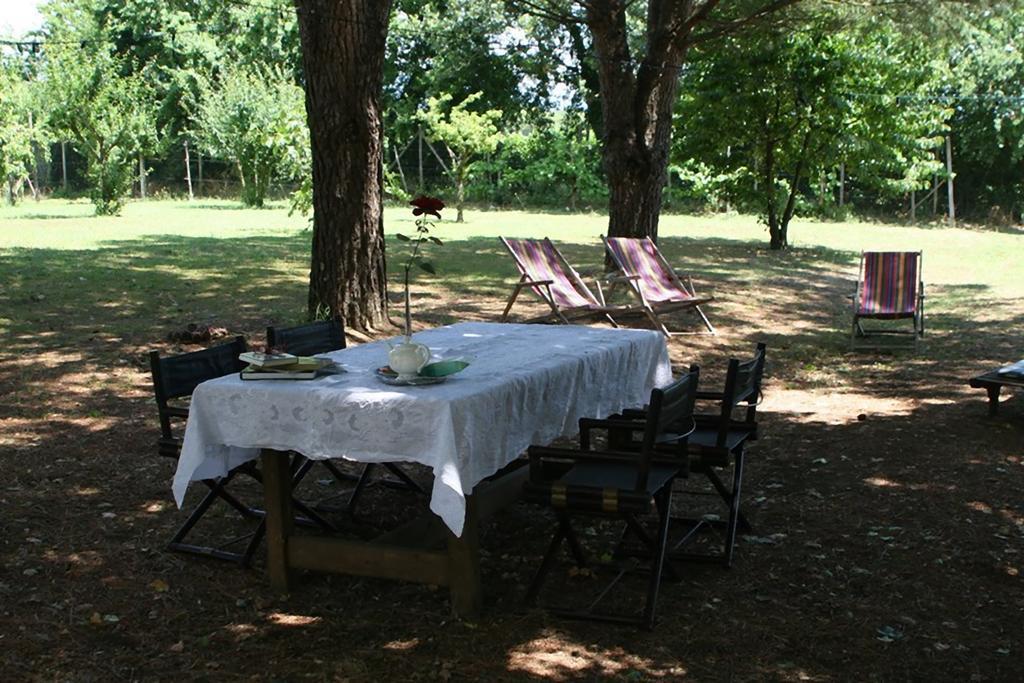 Campo Alle Monache Panzió Bucine Kültér fotó